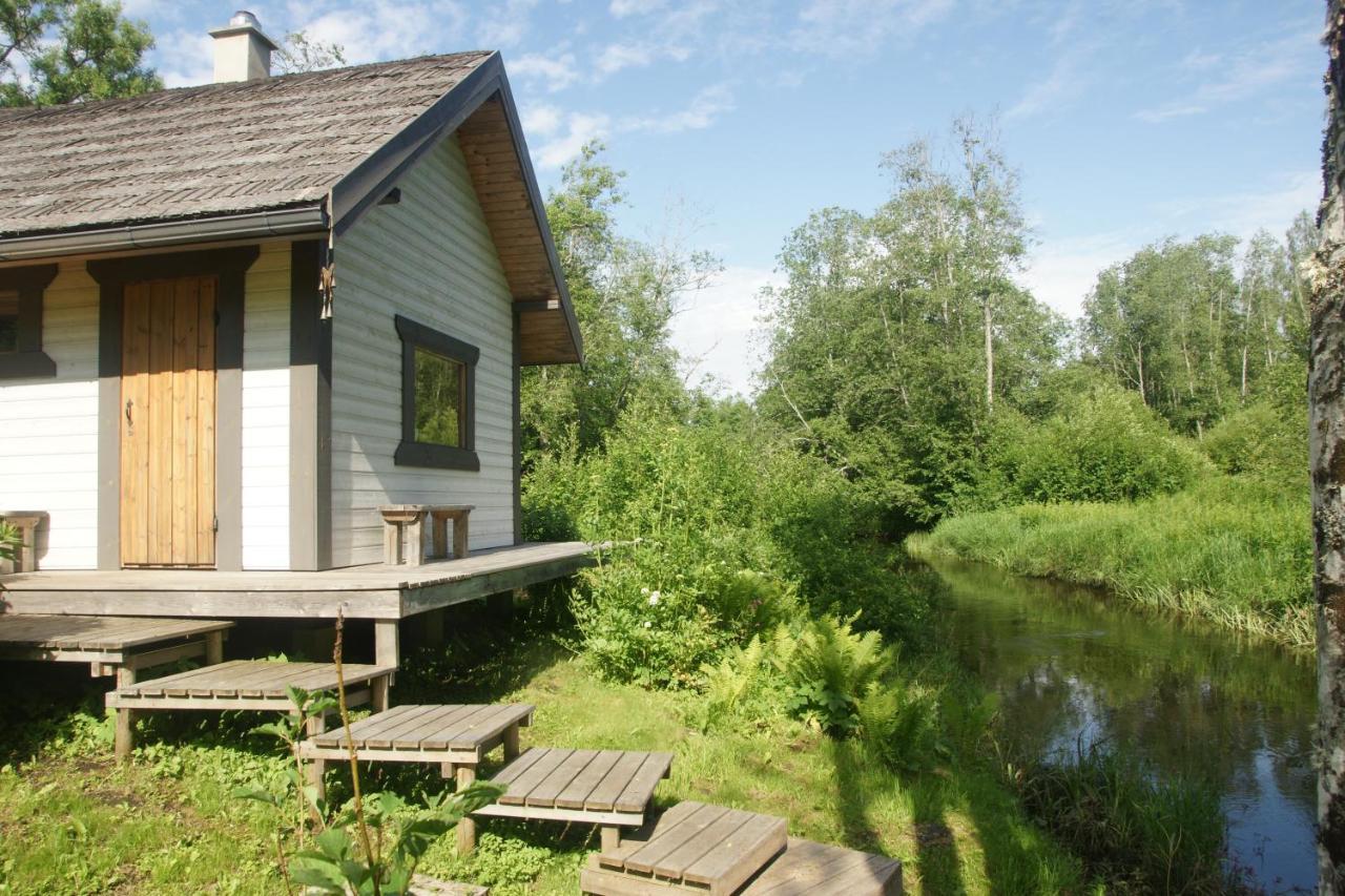 Апартаменти Bear Manor Lacu Muizina Pale Екстер'єр фото